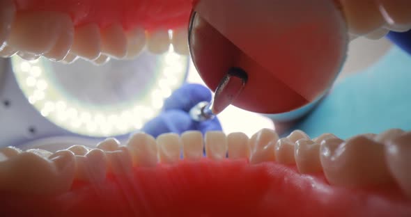 Patient at a Dentist Appointment in a Dental Clinic alt