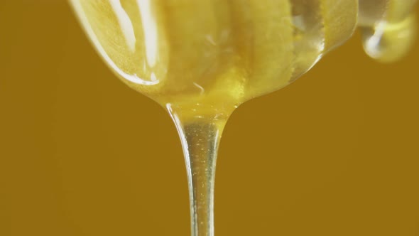 Liquid transparent honey of the new harvest sparkles in the rays of bright light.