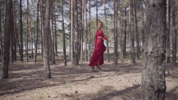 Skill Graceful Woman in Red Dress Dancing in the Forest Landscape. Beautiful Contemporary Dancer alt