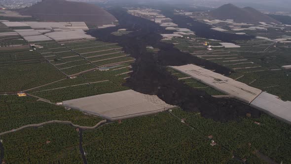Banana plantation fields invaded by lava after Cumbre Vieja volcano eruption at La Palma, Canary isl alt