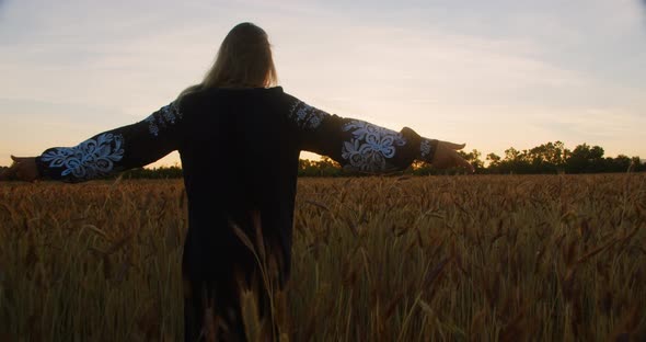 Young womaan in national Ukrainian clothes walking on a field of wheat at sunset alt