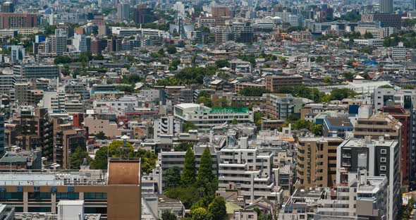 Tokyo city of Japan alt