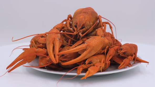 Red boiled crayfish