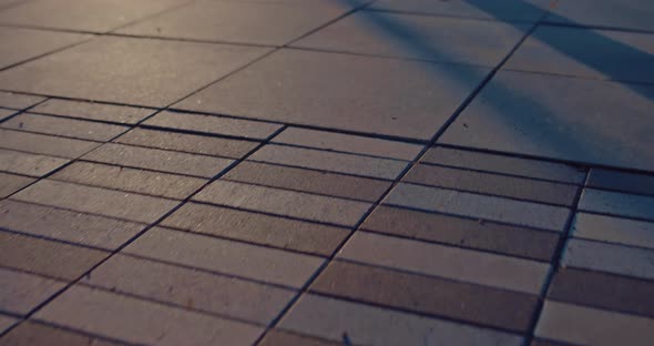 Young African Sportsman is Training Outdoors in Summer Running and Punching Air  Prores alt