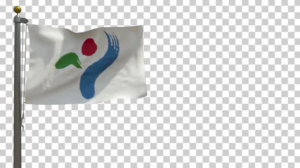 Seoul City Flag (South Korea) on Flagpole with Alpha Channel - 4K alt