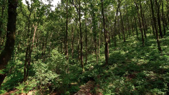 The Traditional Way of Water Conservation In Uttarakhand India