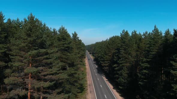 Descending Aerial Shot of Highway Going Through Magnifficent Pine Forest alt