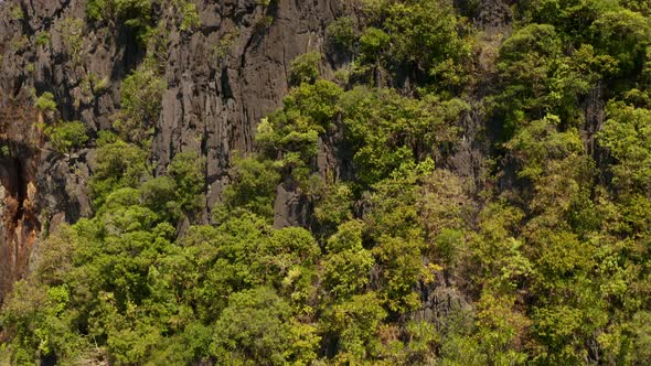 Seascape with Tropical Islands El Nido, Palawan, Philippines alt