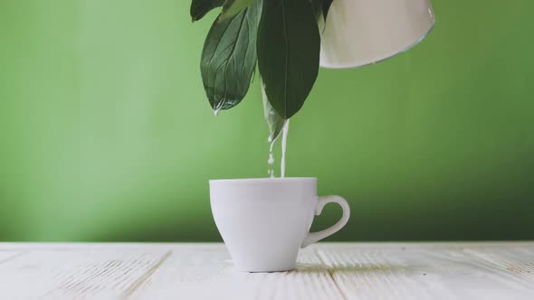 Milk Is Poured Into a Mug Through Green Branches on a Green Background. Eco-friendly Products alt