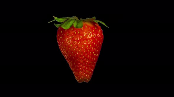 Isolated Strawberry Slice alt