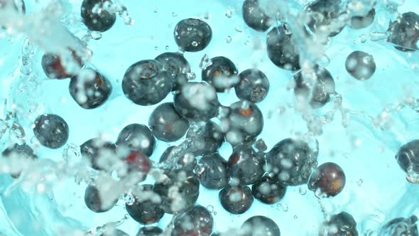 Super Slow Motion Shot of Fresh Blueberries Falling Into Water and Splashing  alt