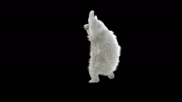 181 Bear Standing Cast Spell 4K alt