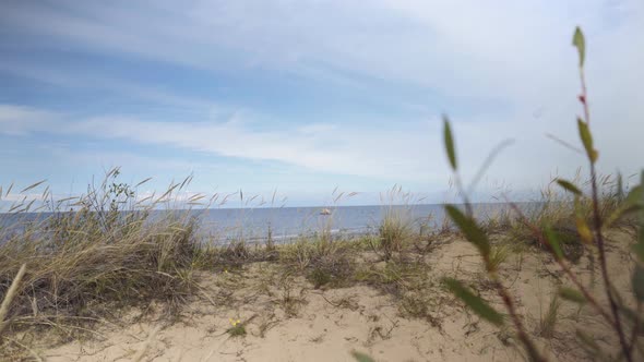 Walk to the Beach Through the Baltic Dunes