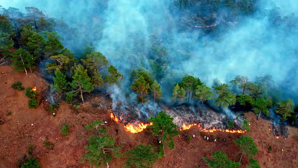 Firemen Battling Against Raging Fire alt