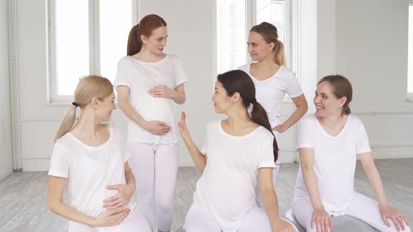 Happy Future Mothers Stand Having Talks Sharing News About Pregnancy
