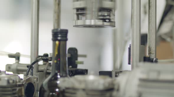 Filling of olive oil bottles in a bottling factory alt