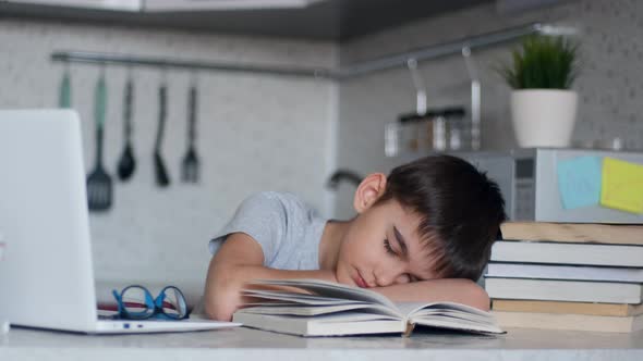 Tired Schoolboy Fell Asleep Doing Homework Sitting at a Desk Next To a Laptop and Textbooks alt