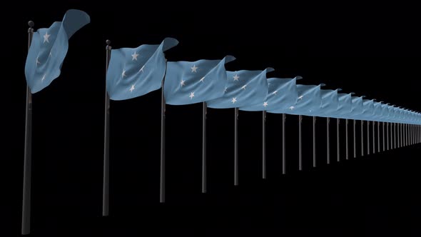 Row Of Micronesia Federated States Flags With Alpha 4K alt
