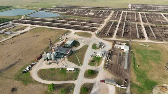 Farm buildings at large cattle feedlot for beef production. Aerial orbit. alt