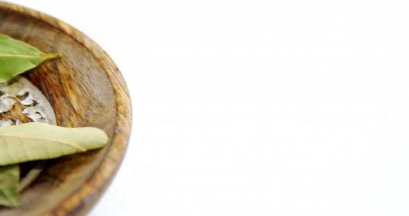 Bay leaf in a plate 4k alt