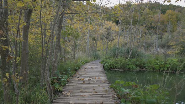 a Walk in the Plitvice Lakes National Park