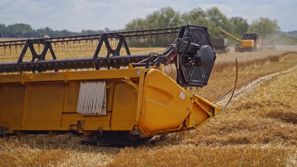 Agricultural Works on the Yellow Field in Summer alt