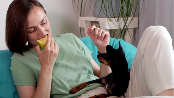 Young Woman is Eating an Apple and Share It with Her Little Dog