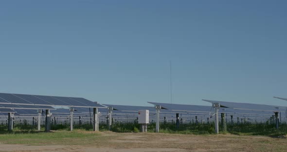 solar panels on a solar farm alt