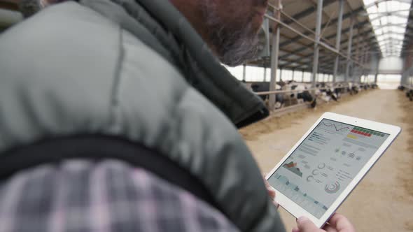 Man with Tablet at Dairy Farm alt