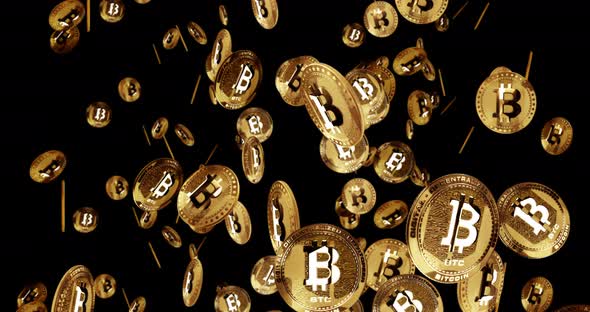 Bitcoin BTC cryptocurrency golden coin rain isolated loop alt