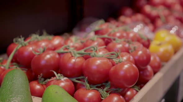 Young Female Hand Taking Branch of Red Tomatoes From Shelf in Supermarket. Unrecognizable Caucasian alt