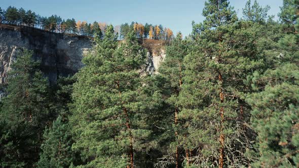 Aerial view of mixed forest and high cliffs