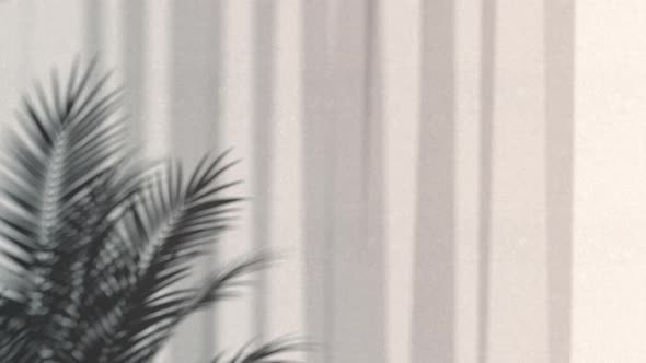 Shadow play animation overlay effect on the wall, looped switch alt