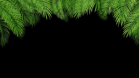 Palm Leaves 04 HD alt