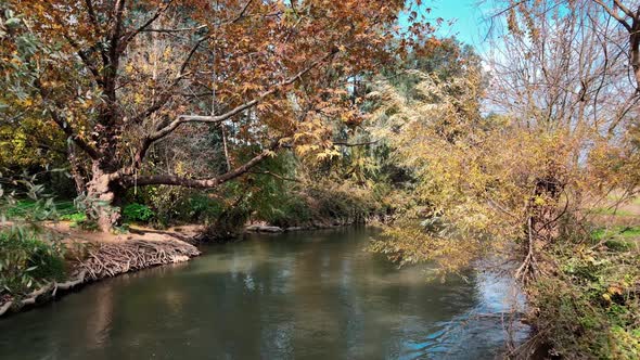 View of Wading Pools and Trees in Fall Foliage in Snir Stream Nature Reserve Northern Israel