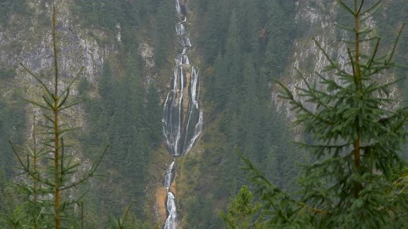 Scenery with Trees and A Tall Waterfall alt