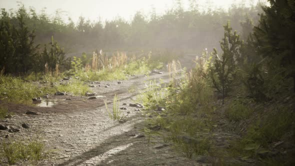 Ground Dirty Road Through Fields alt