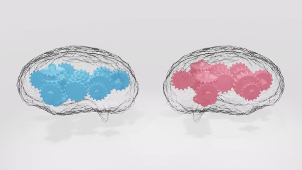 Men and women brains alt