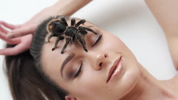 Close Up Footage of Sexy Girl with a Big Black Spider Lies on a White Background alt
