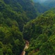 Gorge In The Jungle - VideoHive Item for Sale
