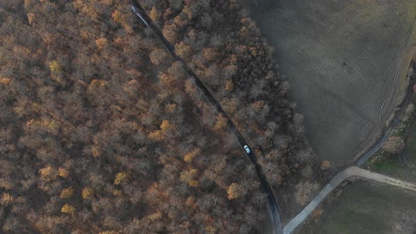 Aerial view of a white car driving through orange autumn countryside at sunse