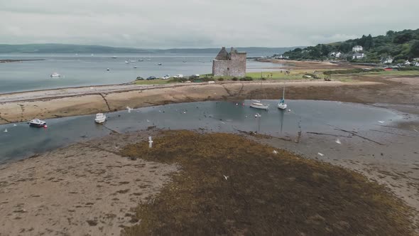 Sea Gulls Flying at Brown Sand Beach on Ocean Shore Aerial alt