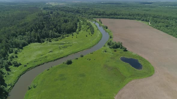 Landscape with River and Trees alt