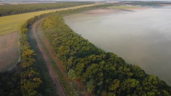 The Railway Forest and the Field are Covered with Morning Fog alt
