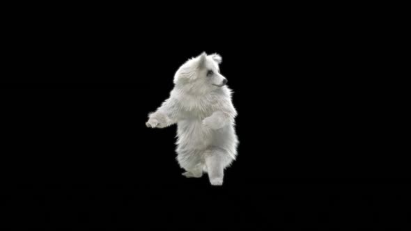 171 Bear Sword And Shield Idle HD alt