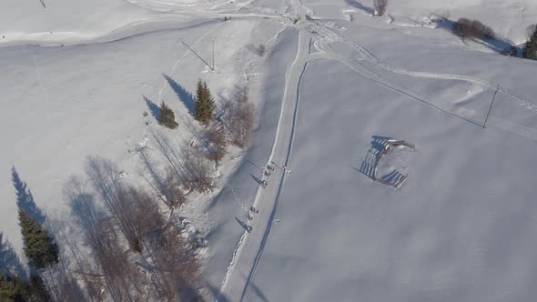 Aerial view of dog sleds racing during winter alt