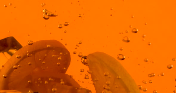 Closeup Process Of Making Drink alt