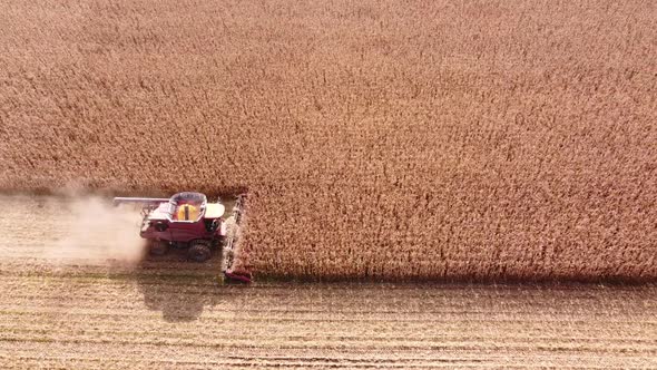 Aerial View Of Harvesting Machine Working In The Corn Field In Southeast Michigan - drone shot alt