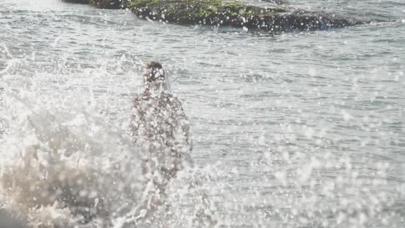 Lady Holds Wooden Surfing Board and Walks Along Oceanside alt