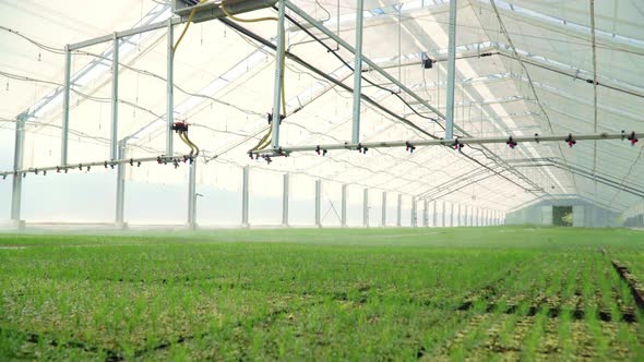 Watering Equipment in Work. Irrigating Plants in Modern Glass Greenhouses alt